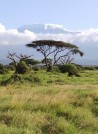 Kenya - 1. varianta (Massai Mara-Naivasha-Amboseli-Tsavo West-Diani Sea Resort)